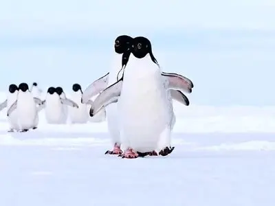 asdasd