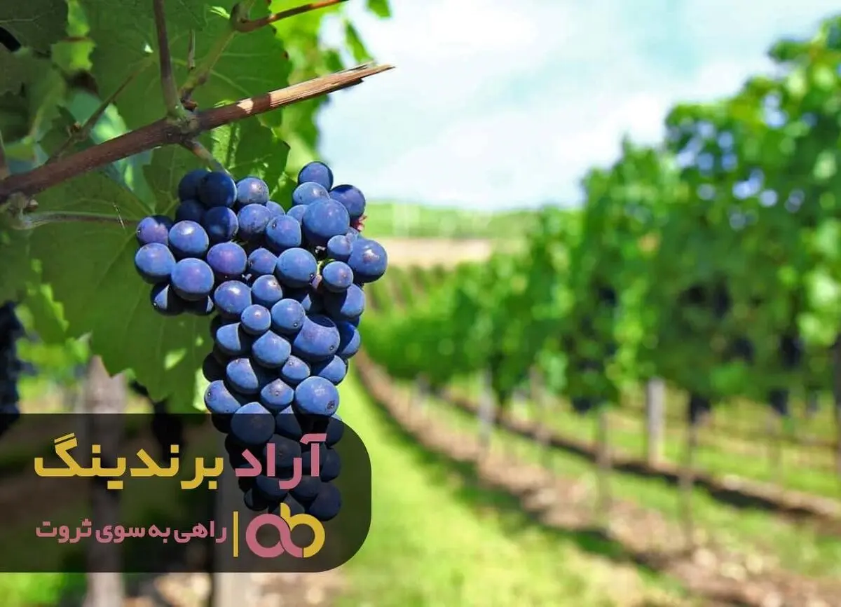 اشتباهات بزرگ در یک کسب و کار