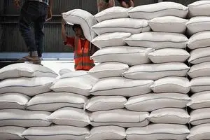 کاهش چشمگیر واردات برنج در سال جاری ​