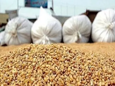 خرید و توزیع 10 هزار تن نهاده دامی با نرخ ارز آزاد در استان مرکزی