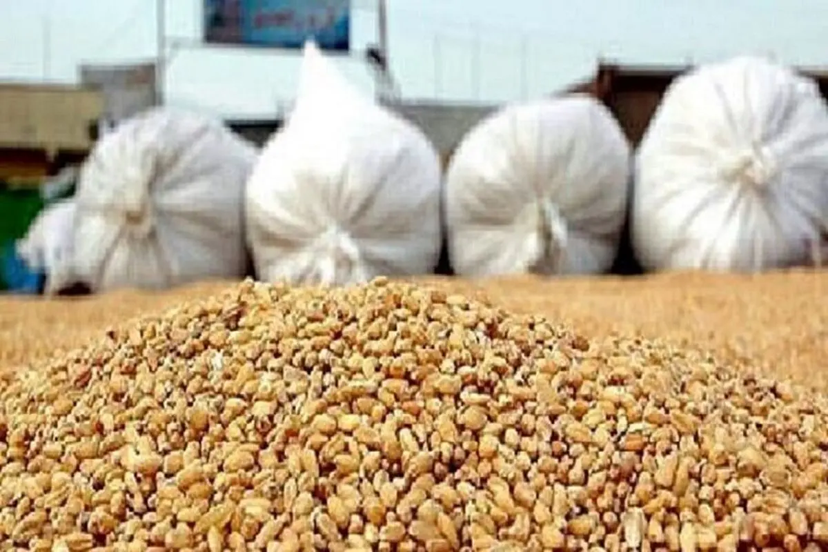 خرید و توزیع 10 هزار تن نهاده دامی با نرخ ارز آزاد در استان مرکزی