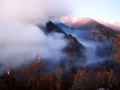 ورود دادستانی به آتش سوزی جنگل‌های الیت/تحقیقات برای علت آتش‌سوزی ادامه دارد