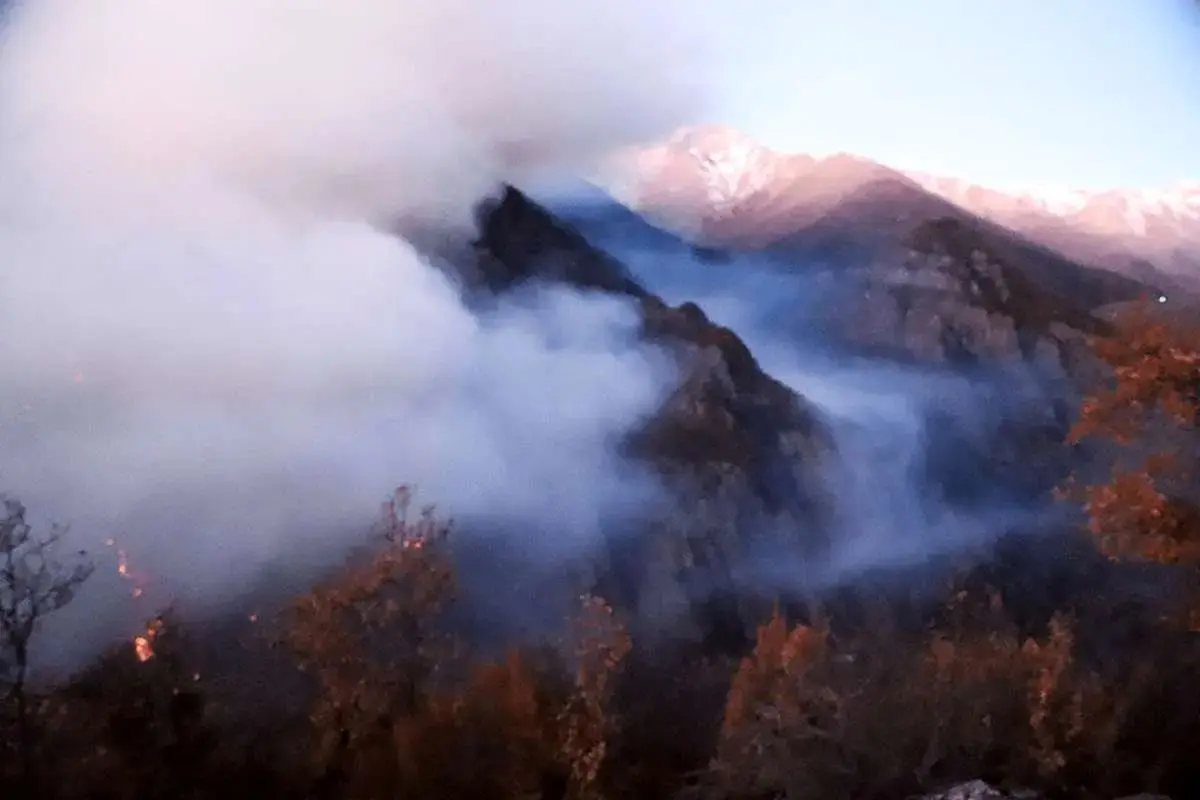 ورود دادستانی به آتش سوزی جنگل‌های الیت/تحقیقات برای علت آتش‌سوزی ادامه دارد