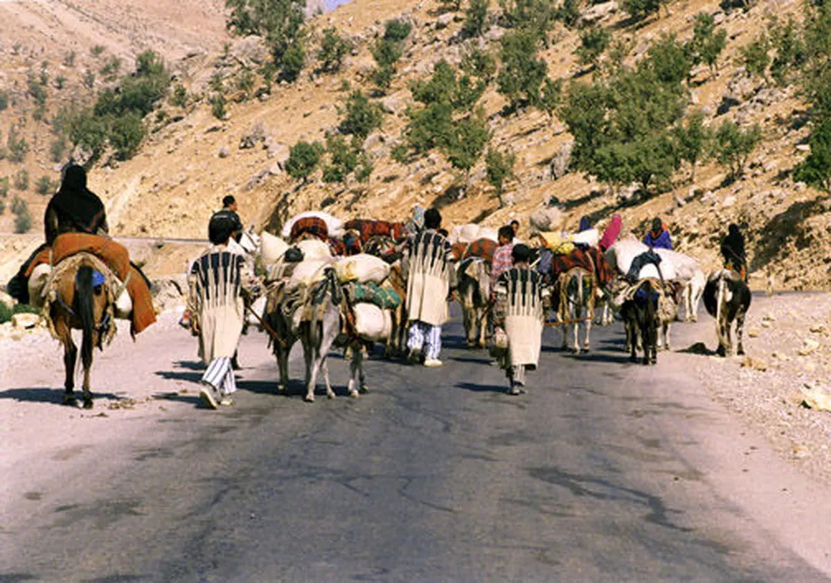 کوچ بیش از ۱۱ هزار خانوار عشایر لرستان از مناطق قشلاقی خوزستان و ایلام به مناطق ییلاقی استان 