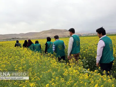 توانمندی های کشاورزی شهرستان های بناب و ایلخچی