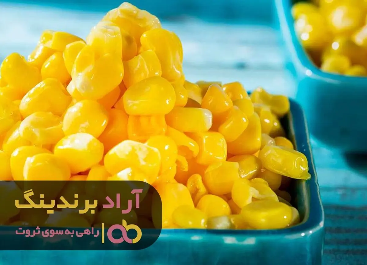 قیمت خرید کنسرو ذرت شیرین کیلویی ارزان است