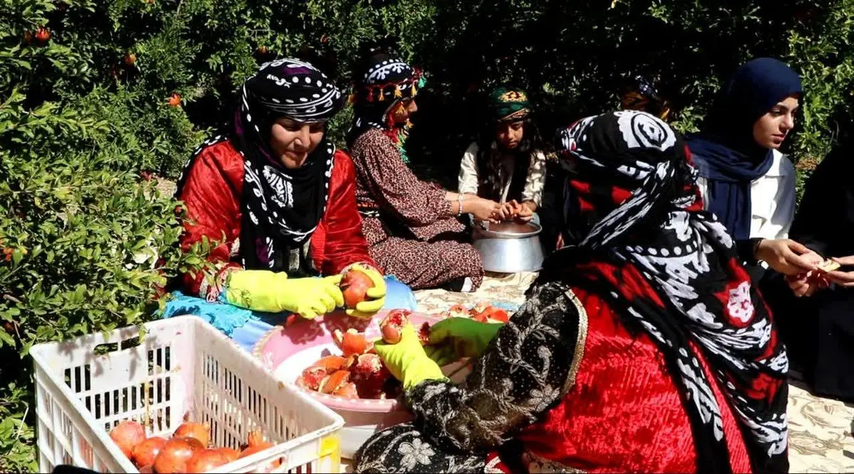 انارستان سیاب کوهدشت سالانه حدود ۳۰ هزار تُن انار تولید میکند