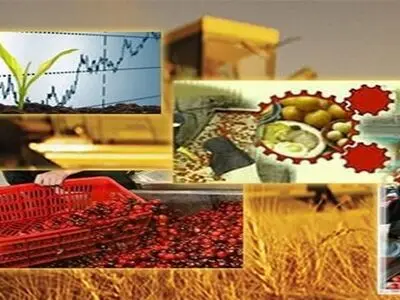تقویت صنایع تبدیلی مهم‌ترین راهکار کاهش ضایعات بخش کشاورزی / کاهش ضایعات نیازمند اعتبار و پشتوانه قانونی است