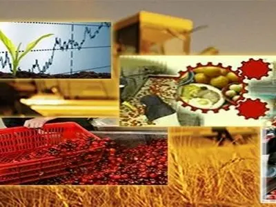 تقویت صنایع تبدیلی مهم‌ترین راهکار کاهش ضایعات بخش کشاورزی / کاهش ضایعات نیازمند اعتبار و پشتوانه قانونی است