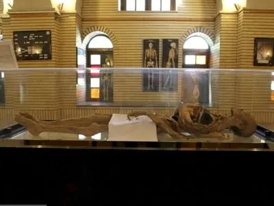 ۶۴ اثر منقول تاریخی‌فرهنگی واجد ارزش ثبت در فهرست آثار ملی