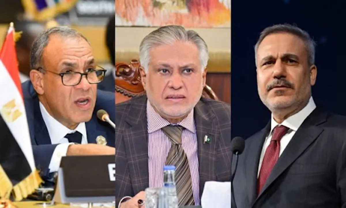 گفت‌وگوی فیدان با وزرای خارجه مصر و پاکستان درباره مذاکرات ایران و آمریکا
