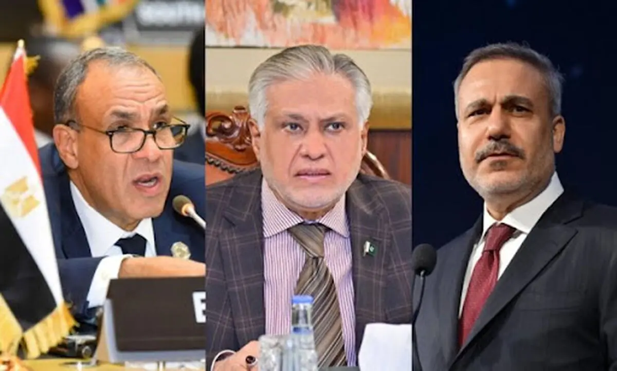 گفت‌وگوی فیدان با وزرای خارجه مصر و پاکستان درباره مذاکرات ایران و آمریکا