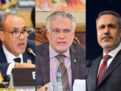 گفت‌وگوی فیدان با وزرای خارجه مصر و پاکستان درباره مذاکرات ایران و آمریکا