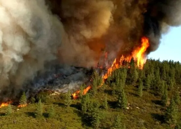 ۱۰ هکتار از مراتع و جنگل‌های درگز در آتش سوخت