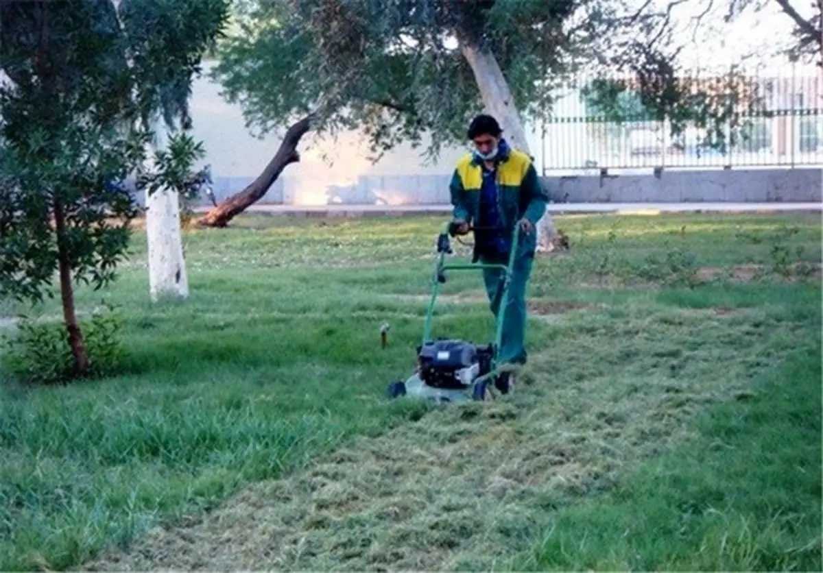 نارضایتی کارگران فضای سبز شهرداری شاهین شهر از پیمانکار