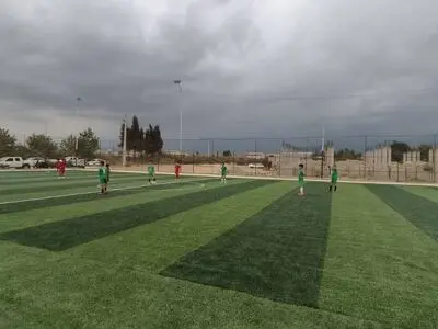 واگذاری سالانه حدود ۵۰ قطعه زمین رایگان برای احداث چمن مصنوعی در گلستان 