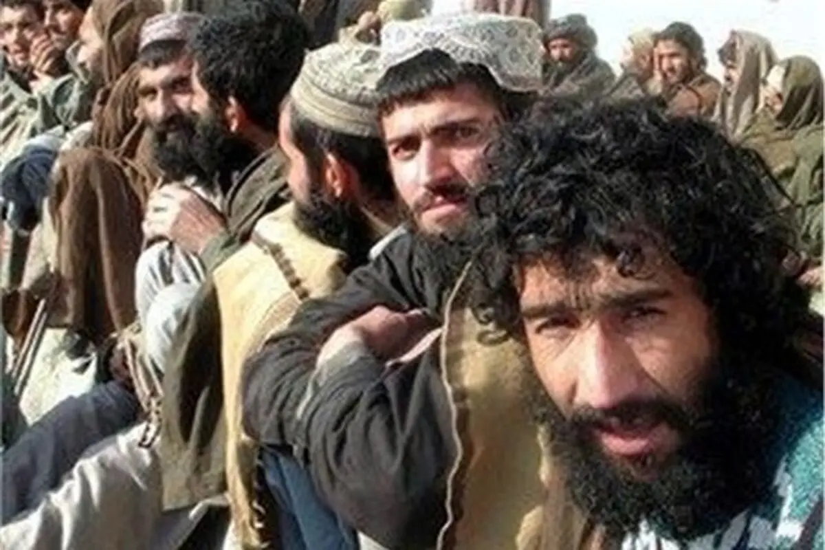 حضور ۳۵۸ هزار اتباع خارجی در فارس