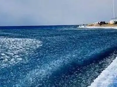 نمایش زیبایی از امواج یخ‌زده + فیلم