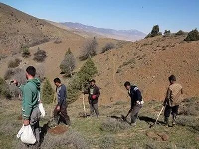 250 هکتار از مراتع کوهستانی دامغان احیا شد