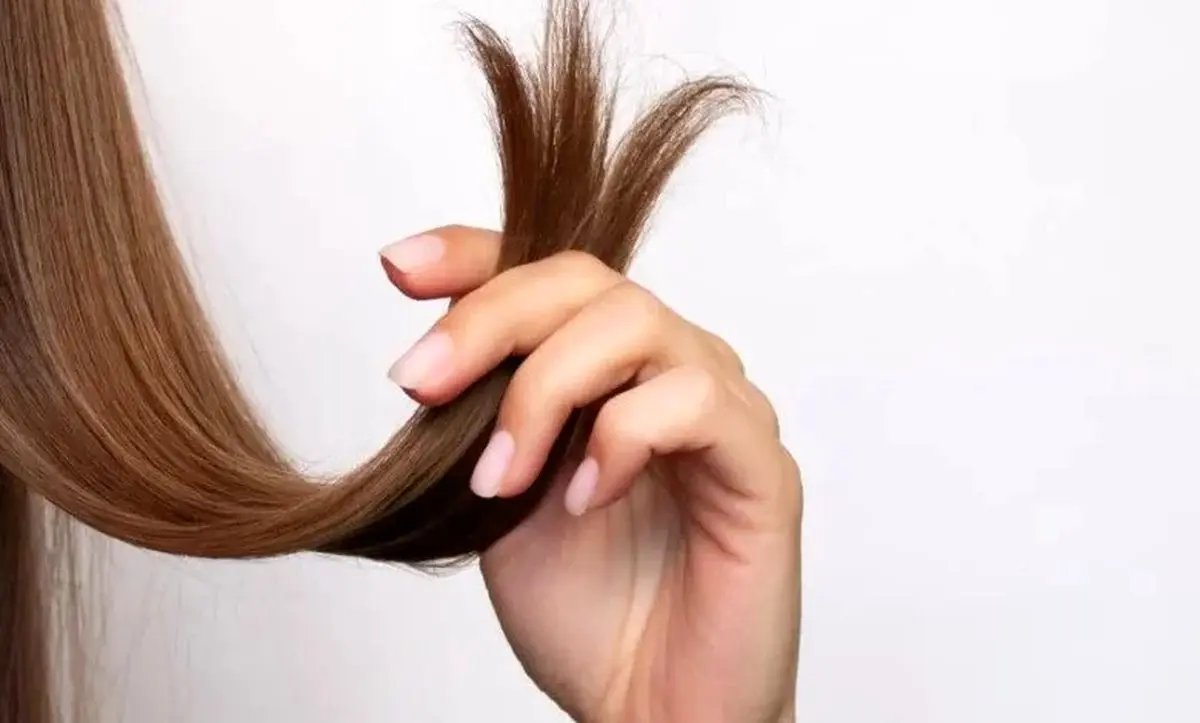 ۵ نوشیدنی برای رشد مو با تاثیر باور نکردنی