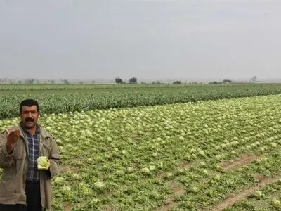 کشاورزان امیدیه مشکلات زیادی دارند/ مسئولان پیگیری کنند