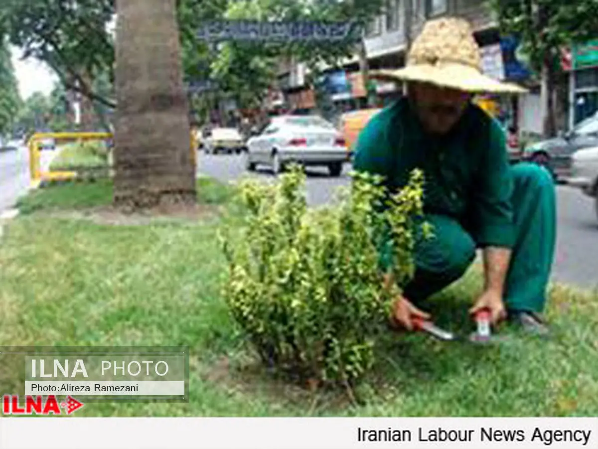 کارگران فضای سبز شهرداری شوشتر سه ماه مزد نگرفته اند 