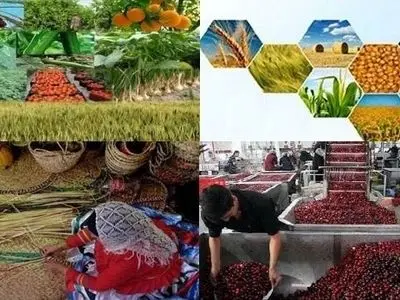 پرداخت بیش از ۵۴ میلیارد تومان تسهیلات رونق به طرح‌های کشاورزی گیلان