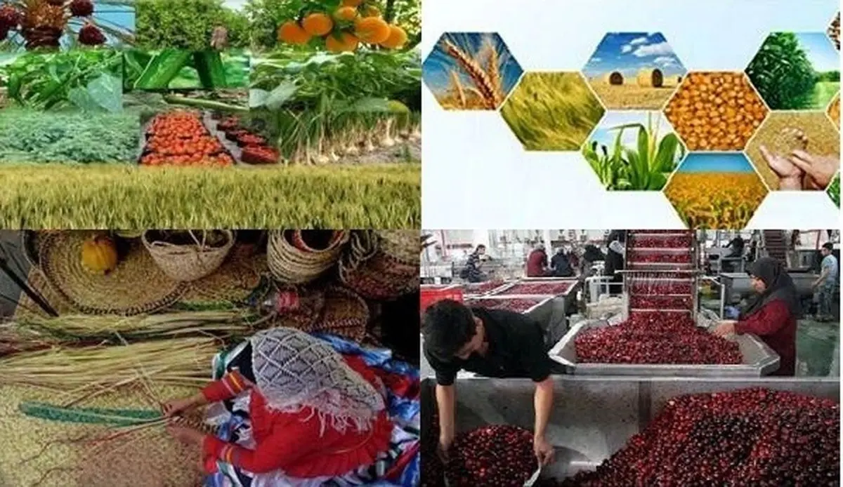 پرداخت بیش از ۵۴ میلیارد تومان تسهیلات رونق به طرح‌های کشاورزی گیلان