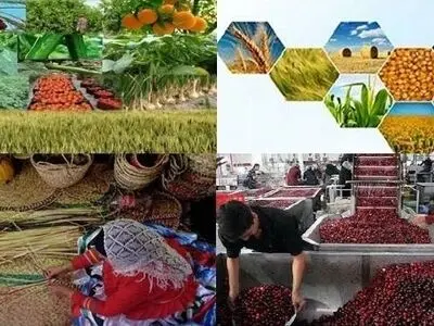 پرداخت بیش از ۵۴ میلیارد تومان تسهیلات رونق به طرح‌های کشاورزی گیلان