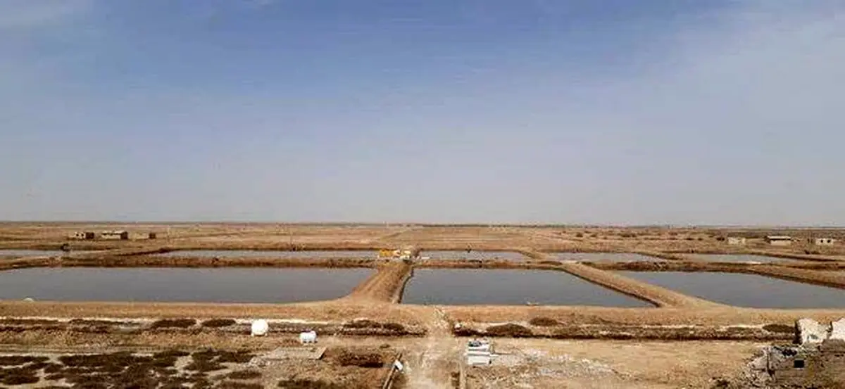 آماده بودن زیر ساختهای لازم برای سرمایه گذاری در صنعت آبزی پروری شهرستان چهاربرج