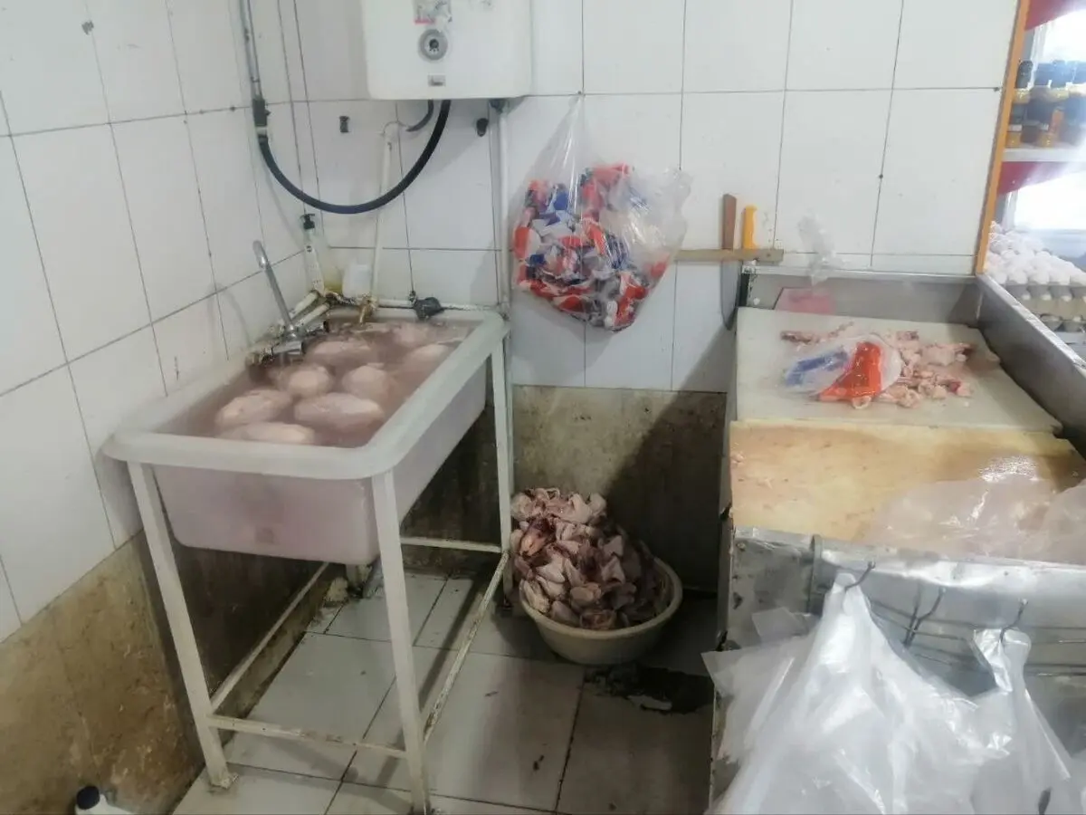 معدوم سازی بیش از ۱۵۰ کیلوگرم گوشت مرغ تاریخ گذشته و فاسد در سبزوار