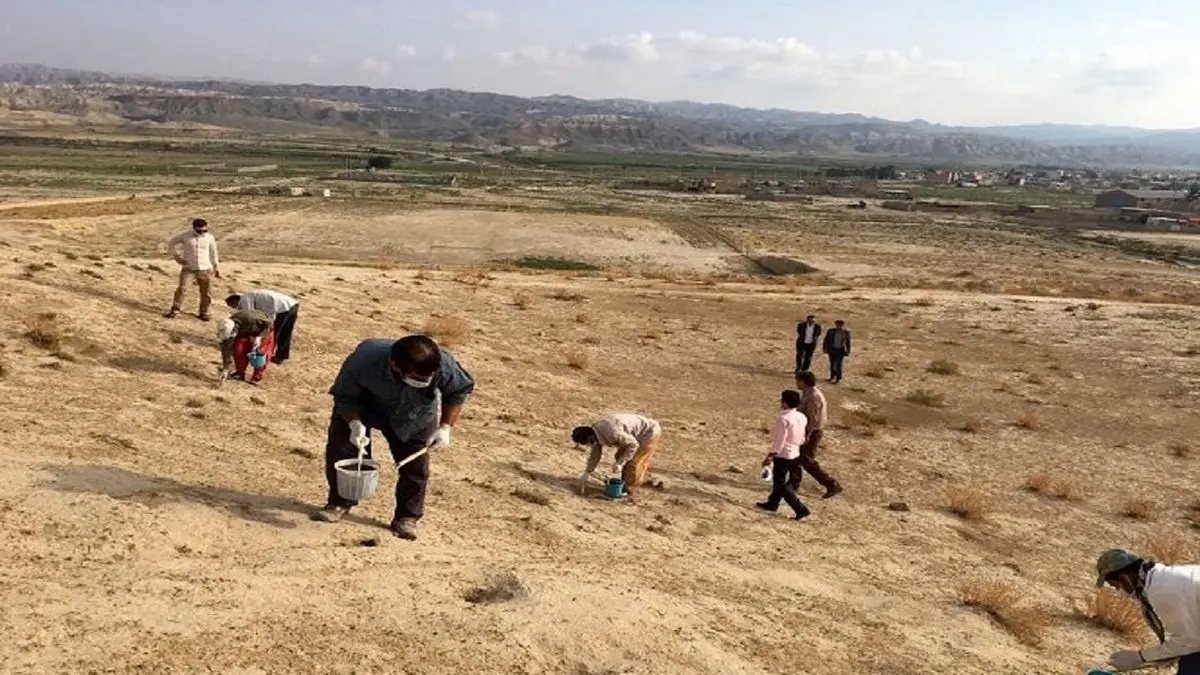 آغازجونده‌کشی و سمپاشی محیطی علیه سالک در قصرشیرین 