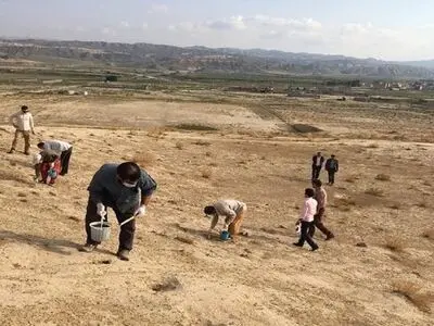 آغازجونده‌کشی و سمپاشی محیطی علیه سالک در قصرشیرین 