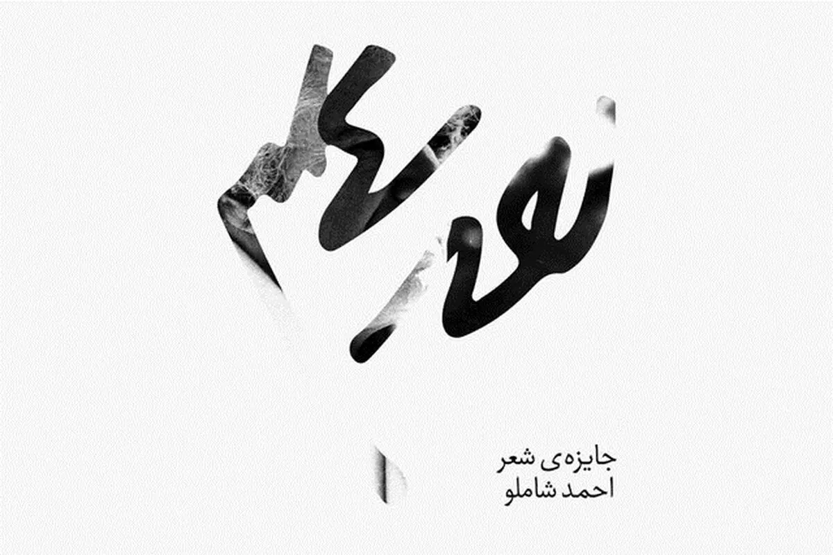 انتقاد آیدا شاملو و موسسه الف.بامداد از موضع‌گیری و عملکرد وبسایت رسمی این شاعر