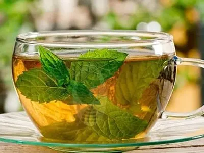 چه کسانی نباید از نعناع استفاده کنند؟