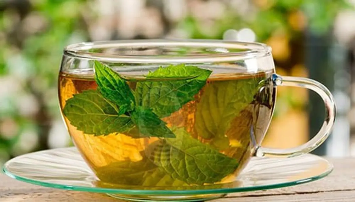 چه کسانی نباید از نعناع استفاده کنند؟