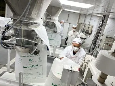 تولید بیش از ۷۲۱ هزار تن شکر سفید در توسعه نیشکر