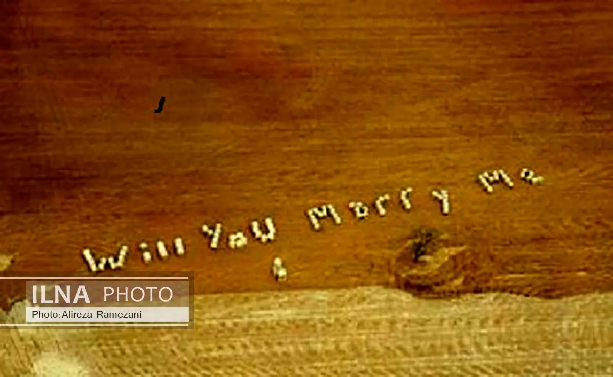 عکس/ خواستگاری کردن به سبک یک کشاورز 