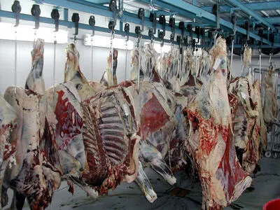 فاصله 45 هزار تومانی قیمت گوشت گاو از تولید تا مصرف