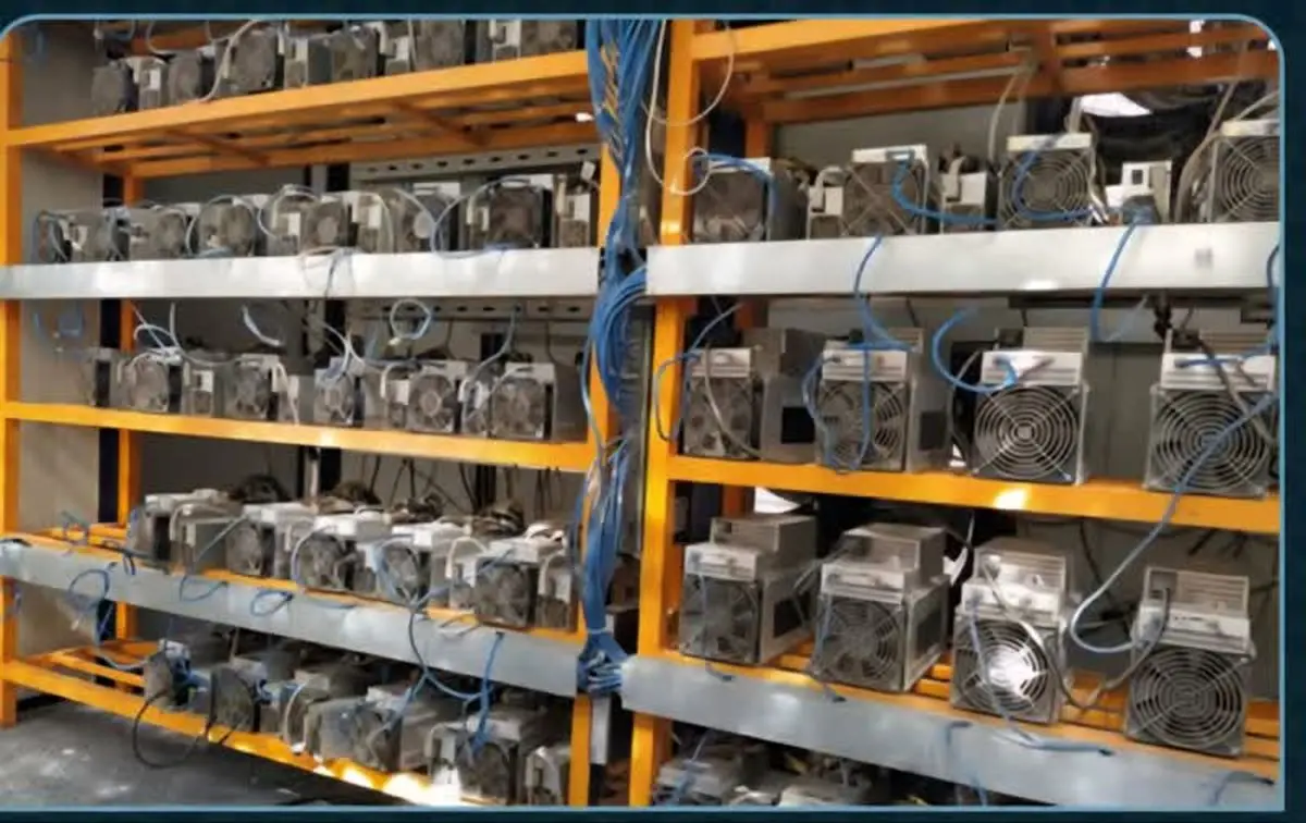 کشف مزرعه ماینرهای 140 میلیاردی قاچاق در سوادکوه