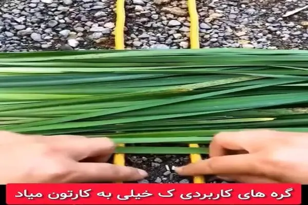 گره های کاربردی که لازم است بدانیم + فیلم