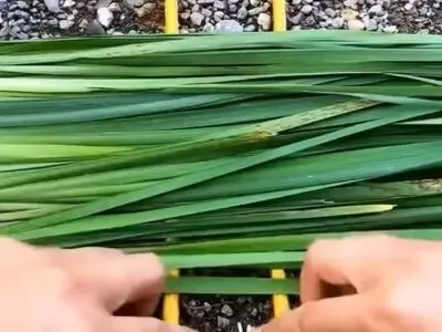 گره های کاربردی که لازم است بدانیم + فیلم