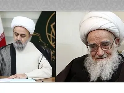پیام تسلیت دبیرکل مجمع جهانی تقریب در پی ارتحال آیت الله صافی گلپایگانی
