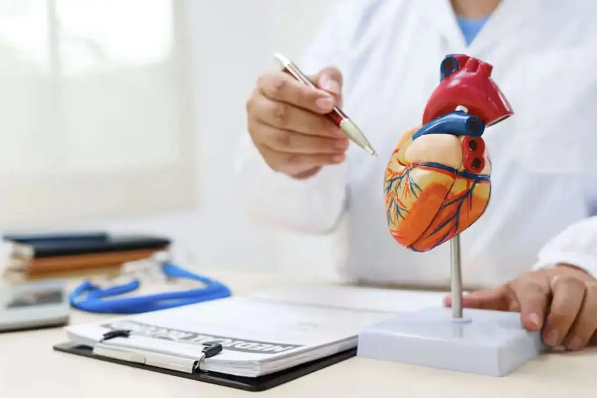 بهترین ورزش برای قلب؛ نه دوچرخه ثابت، نه باشگاه، نه پیاده‌روی