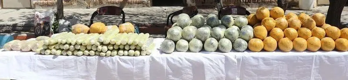 کشف مواد مخدر به همراه سلاح و مهمات