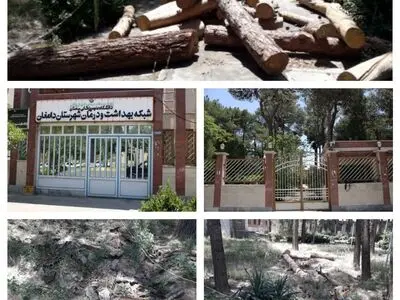  قطع حدود 20 اصله درخت کهنسال در بیمارستان رضایی دامغان/  کمیسیون قطع اشجار دامغان پاسخگو باشد