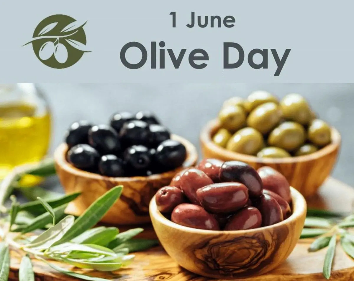 ۱ ژوئن روز جهانی روغن زیتون است