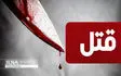 قتل با سلاح سرد در بلوار چمران شیراز/ قاتل دستگیر شد