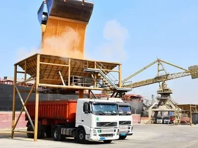 ۵ میلیون تن نهاده دامی در مبادی ورودی کشور است