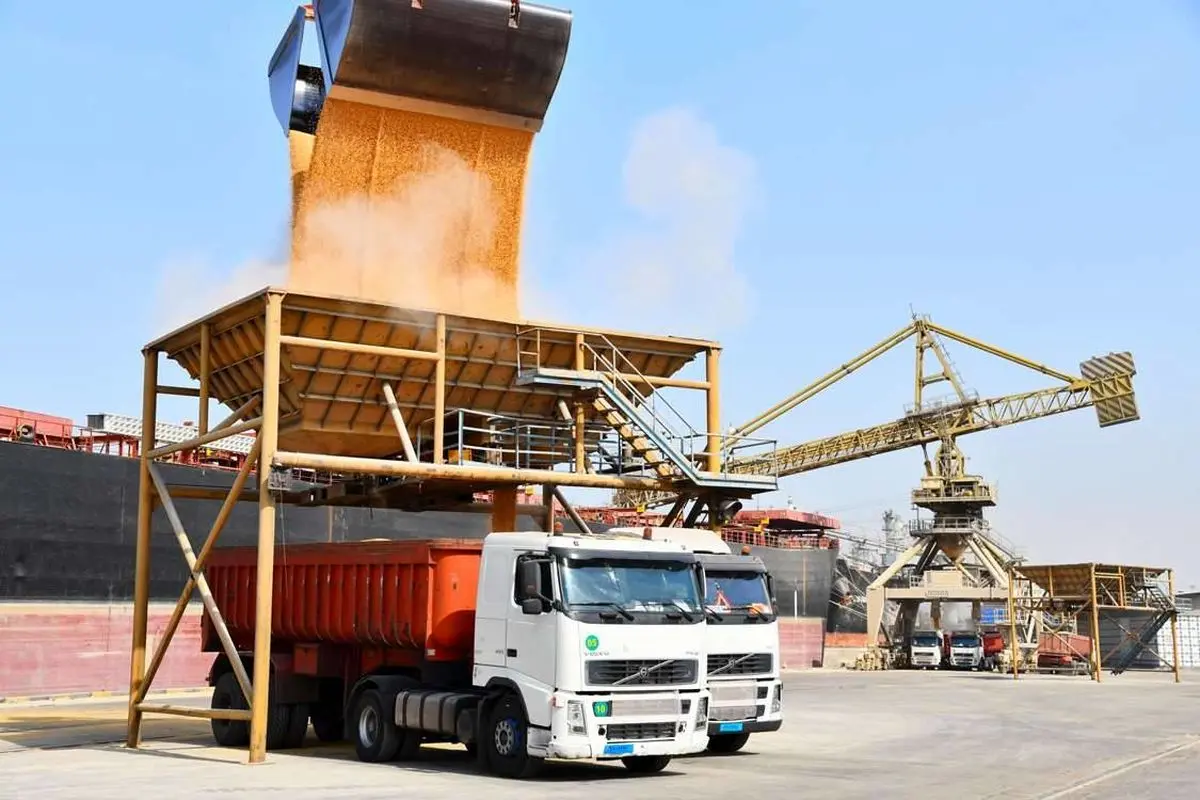 ۵ میلیون تن نهاده دامی در مبادی ورودی کشور است